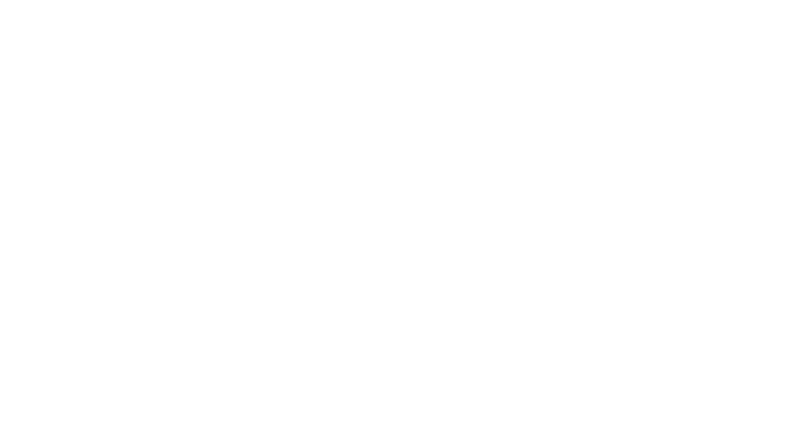 WebPower logo white